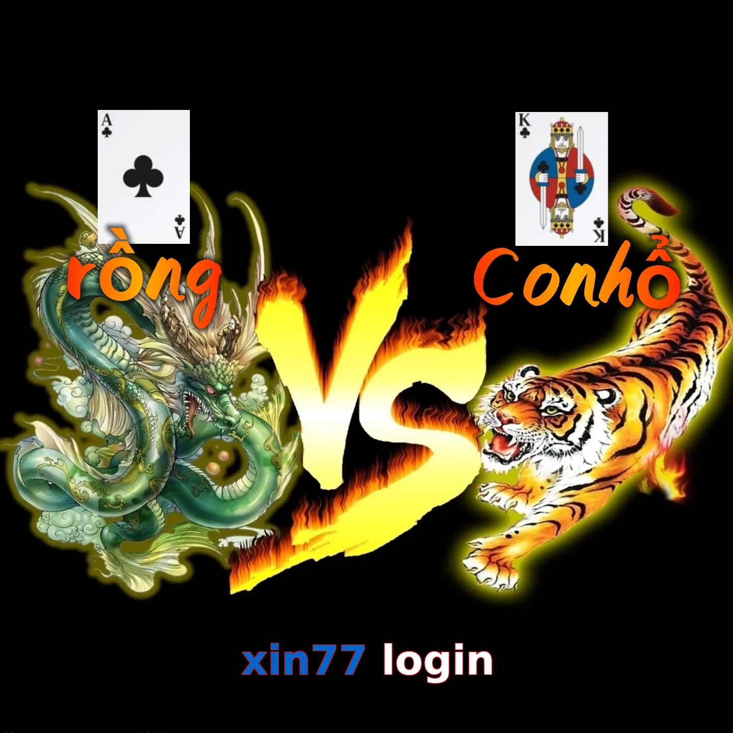 xin77 login